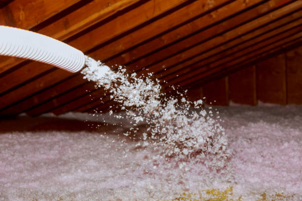 Best Insulation Installation Services in Port Gibson, MS