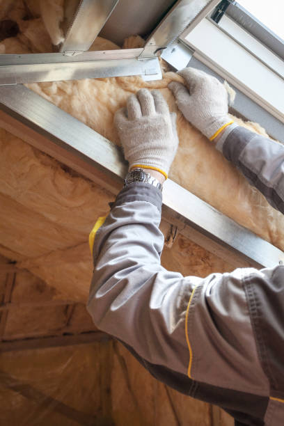 Best Insulation Maintenance and Repair in Port Gibson, MS