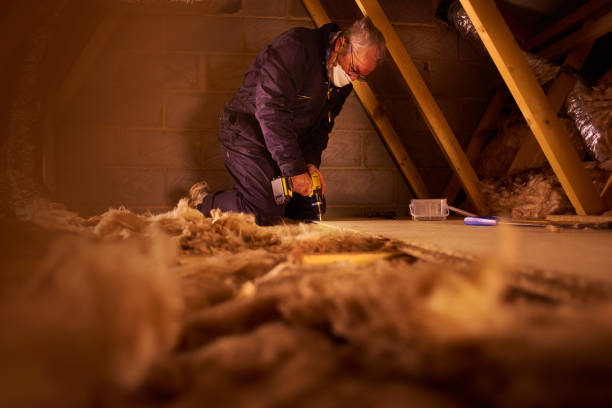 Best Types of Insulation in Port Gibson, MS